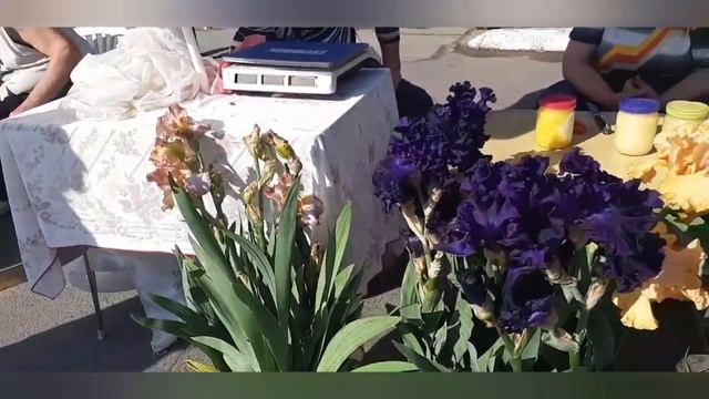 895549b65df8b4cb84558a3308a0ce4a