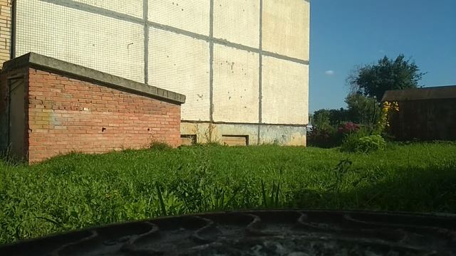 VID_20230806_161942.mp4