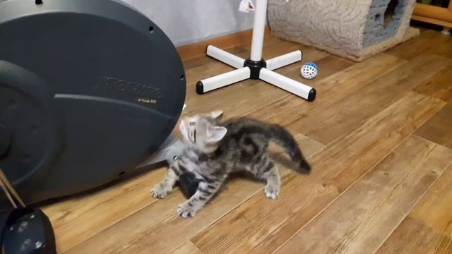 0a59a11abae46bd68c46cf9705acc886