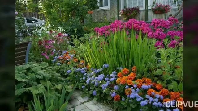 23 ИЮЛЯ - ДЕНЬ ДАЧНИКА И ПРАЗДНИК ВСЕЙ ЗЕМЛИ...