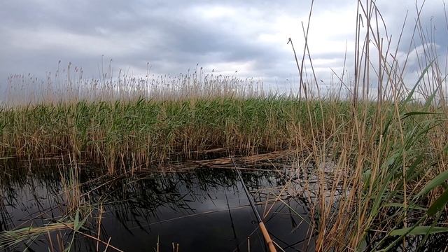 БОМБЕЗНЫЙ КЛЁВ!!! Рыбалка на карася на боковой кивок