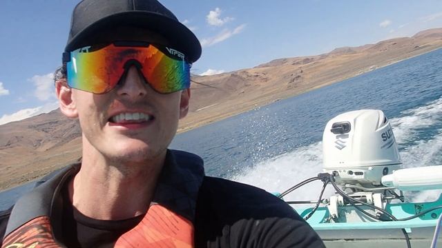 3e2e9d9afb50efd1a920a4d911931d36