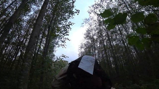 Самые крайние три выезда. Поиски кладов продолжаются!