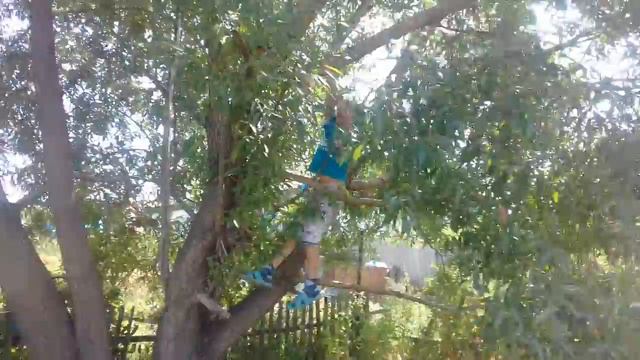 Самый крепкий телефон в мире