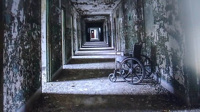 6d5de508a293523719b0b9628d97f340