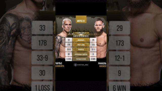 Afe3d15d2444d16d23c8506476038526