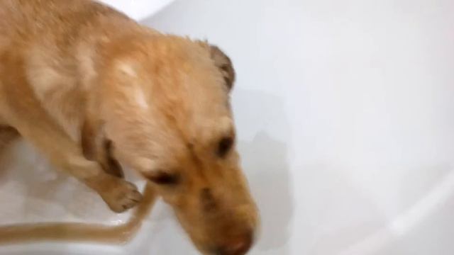 7329b59f5327de00114283f1de7aa623