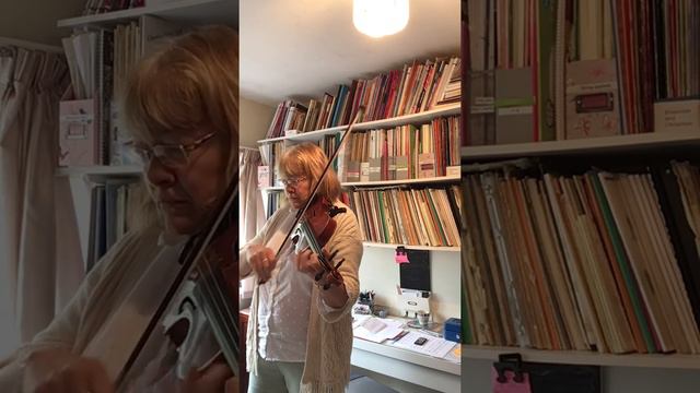 Saint Saens Danse Macabre Violin And Piano