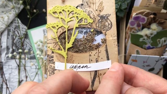 Обзор набора ножей Mimicut Что посеешь, то и пожнёшь