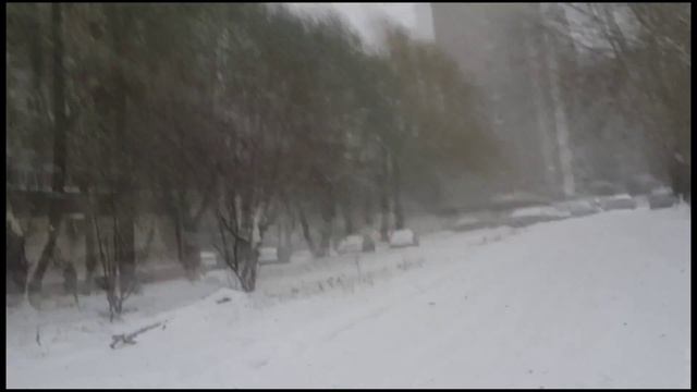 Дикарь в Екатеринбурге