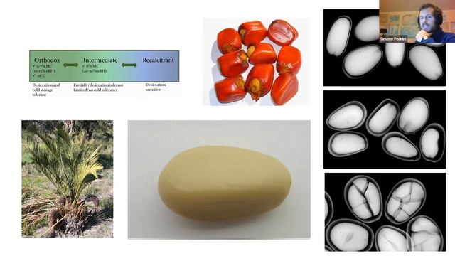 Making Native Seed Standards A Commercial Reality