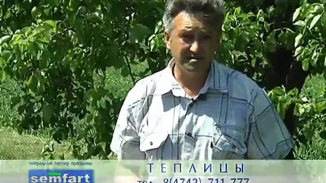 Удачный сезон. Как ухаживать за плодовыми деревьями