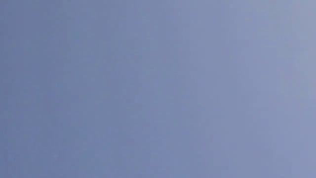 Голуби! камера плохо снимает в ясную погоду!