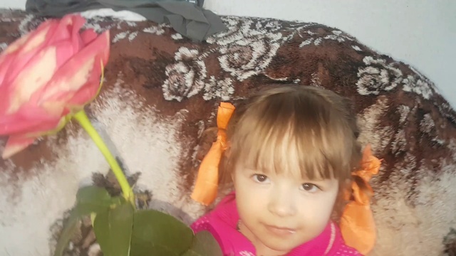 B55f651d62cd2eadf7a10314e528e0e0