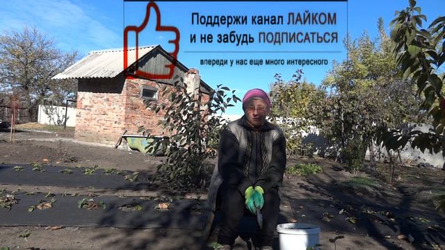 Дарящиеся секреты