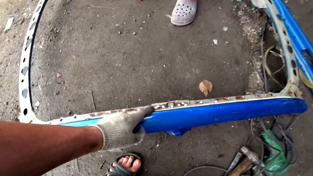 Грибы и мир насекомых