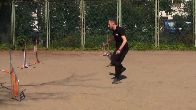 Иванов Станислав Метис АРЬЯ