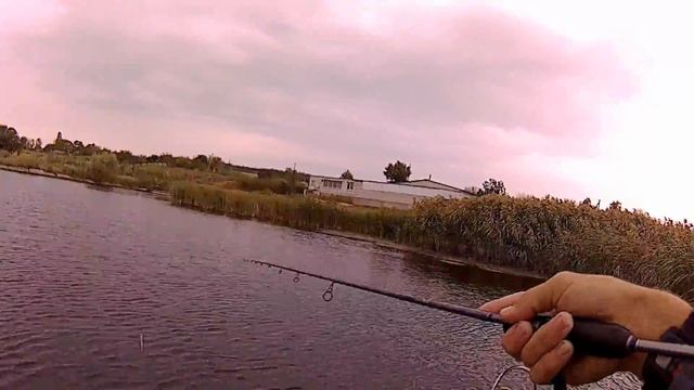 Ловля щуки на TsuYoki RODGER 106F