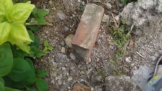 59d0682b63fda96a846085f9de5ff17e