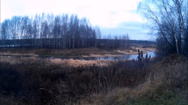 РЕКОРДНЫЙ КОП 2017 - 98 монет за раз! Bounty Hunter Traker реально ищет монеты!