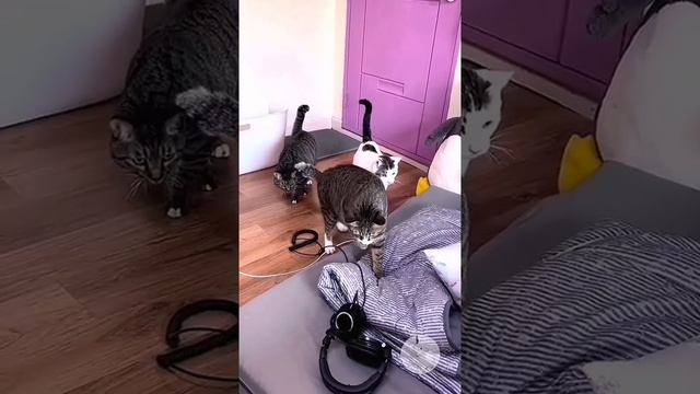 неет это не я