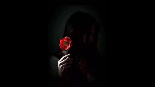 6b72f6577c6a44d56b113d0e9b9ccfe2