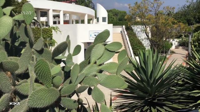 60. Для Вас Великолепная МУЗЫКА и Громадные Красивые Кактусы Турции!