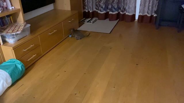 3cf976f75977c5f1f9b48c62ff2196b8