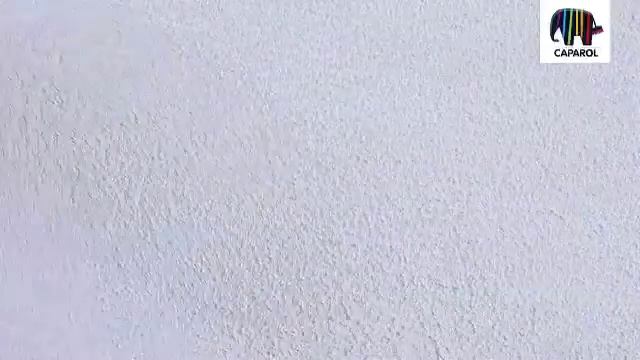 Caparol Metallocryl Interior