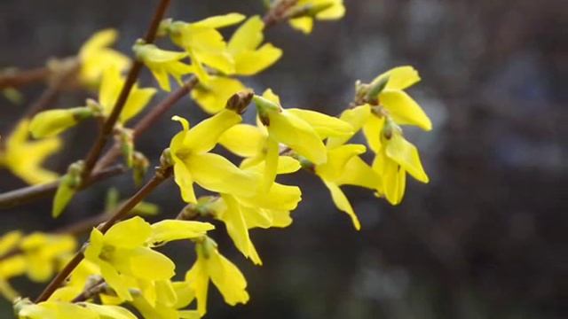 Fujifilm Finepix S4000 (Sample Images)