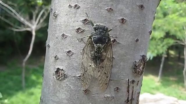 32d788e8c2128390e9e4808a7ff50f42