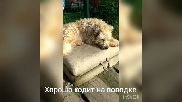 A916aa1caa1d4203a775150358ddfdef