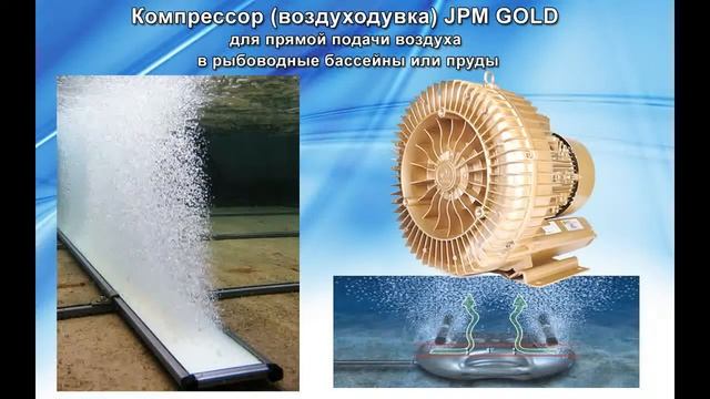 Компрессор для УЗВ. Профессиональный компрессор для аэрации воды в УЗВ.