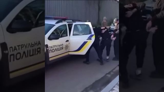 Смешные видео