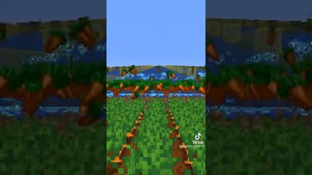 Мировой рекорд моркови в майнкрафт!! #minecraft #shorts