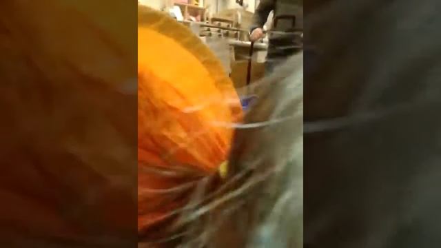 Волосы дыбом/ Видео для детей