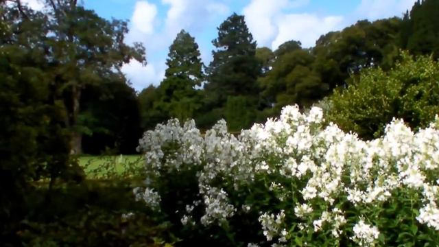 Gresgarth Hall.wmv