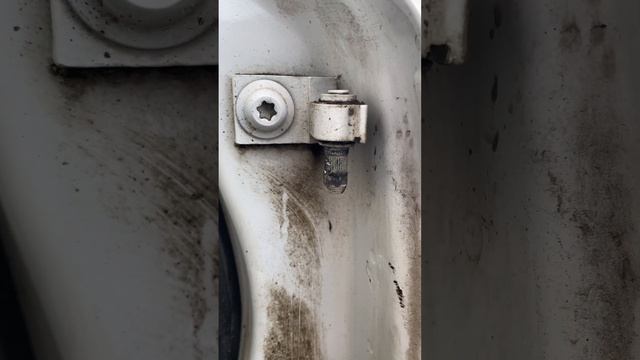 Звезды автомобильной индустрии