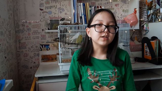 Как пришла идея завести попугаев?