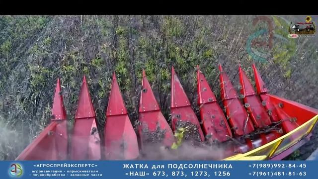Жатка НАШ для подсолнечника