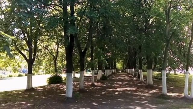 Видеоролик о школе 2016