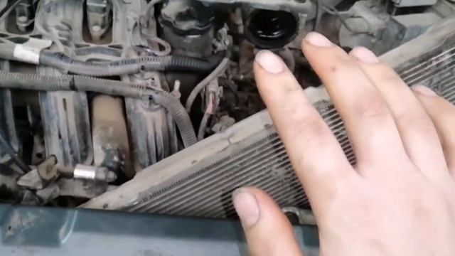 Уборка с вдохновением