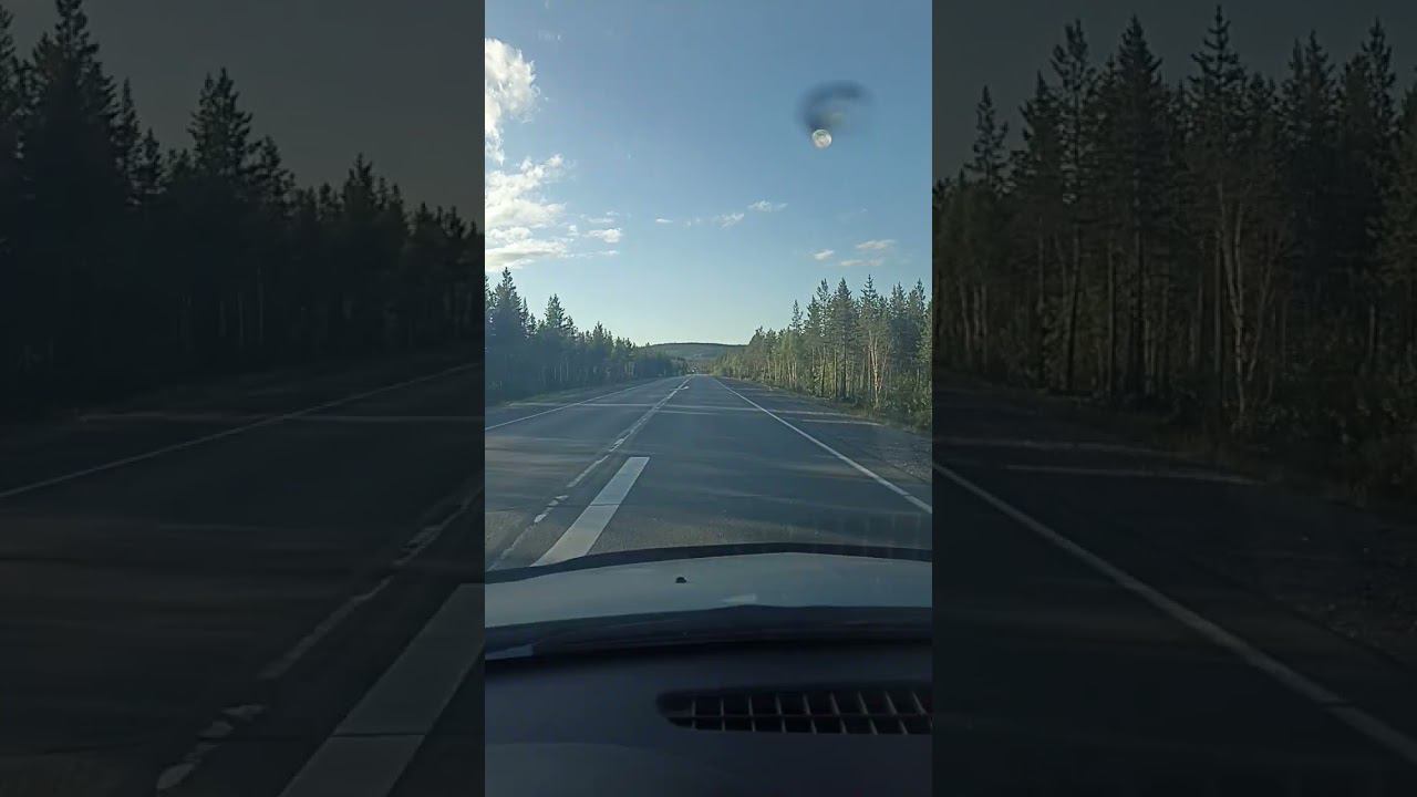 14 июня 2024 г.