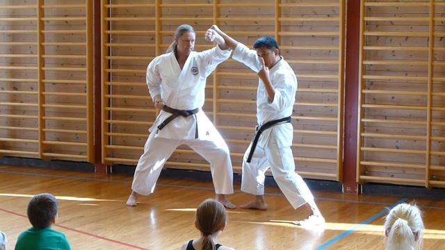 Treningssamling Med Sensei Poh Lim 6. Dan På Otta Shotokan Karateklubb