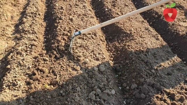 B8a334804209d2f5f12e8e0a7360980e