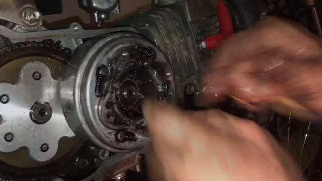 Ремонтные акварели декоративного вдохновения