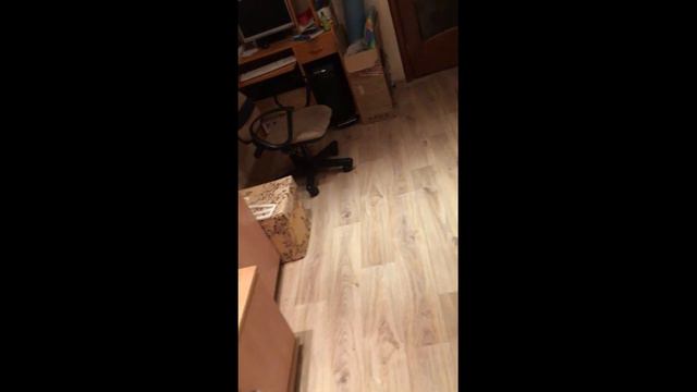 Ж-12 Косплей  J-12 Cosplay Modern Warfare 2019