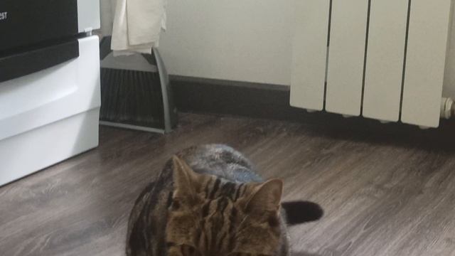 A72b8eee4f7dc497e7c23475c848d082