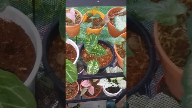 2c6d7ef260e5adab5374ba097bda8bda