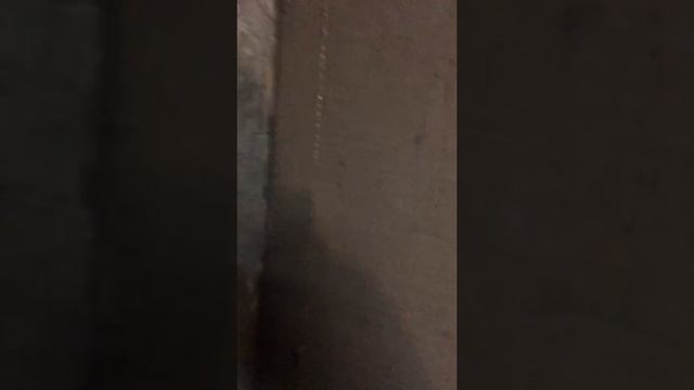 Штукатурка глиной по маячкам